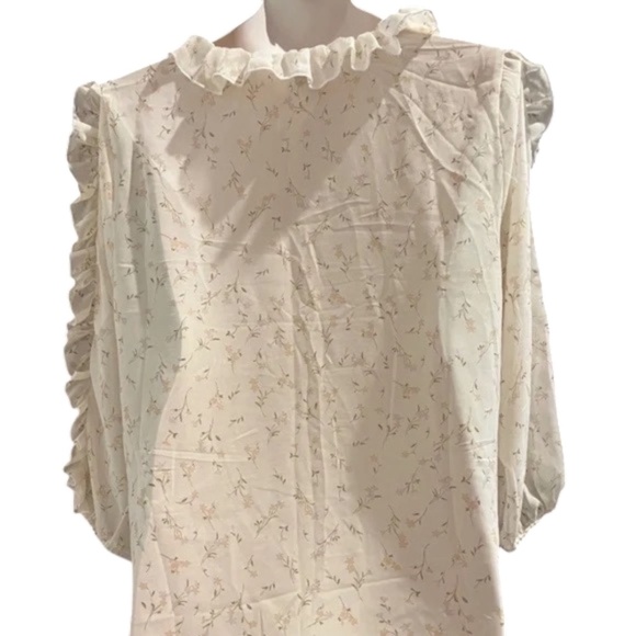 Zenobia Top NEW 1X Off White Sheer Ruffle Babydoll Romantic Fairycore Whimsigoth - Picture 4 of 6